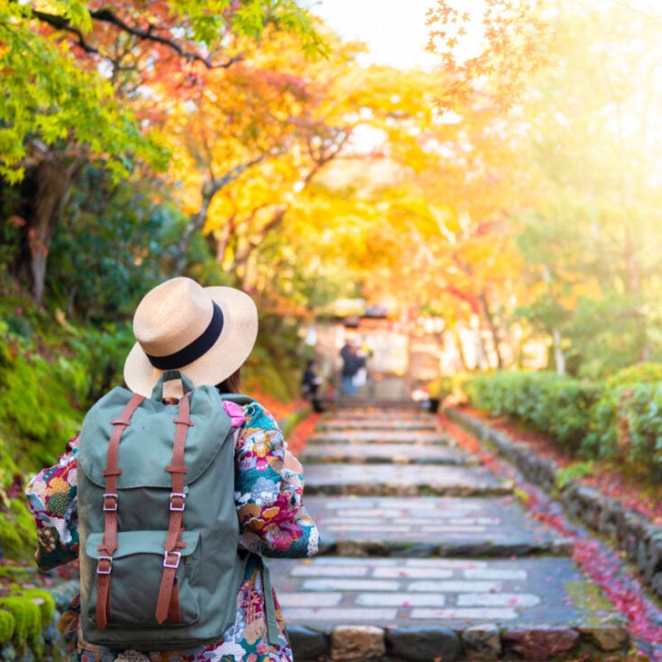 What are the safest hotels for solo travelers